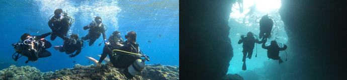 �̓��A�̌��_�C�r���O